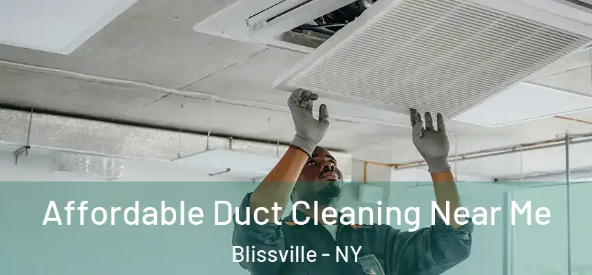 Affordable Duct Cleaning Near Me Blissville - NY