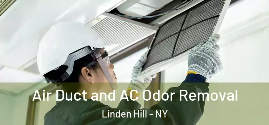  Air Duct and AC Odor Removal Linden Hill - NY