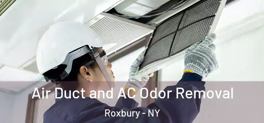  Air Duct and AC Odor Removal Roxbury - NY