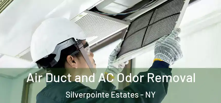 Air Duct and AC Odor Removal Silverpointe Estates - NY