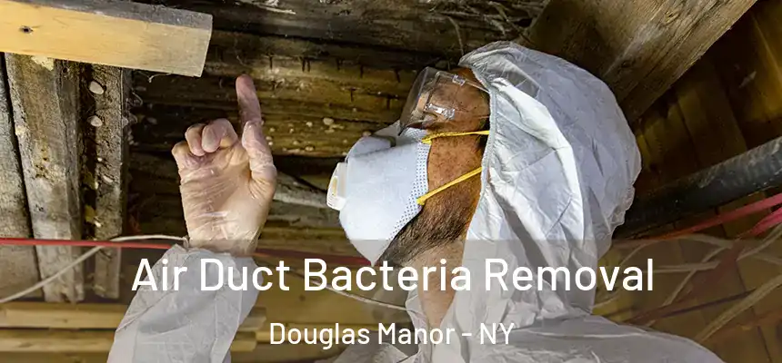 Air Duct Bacteria Removal Douglas Manor - NY