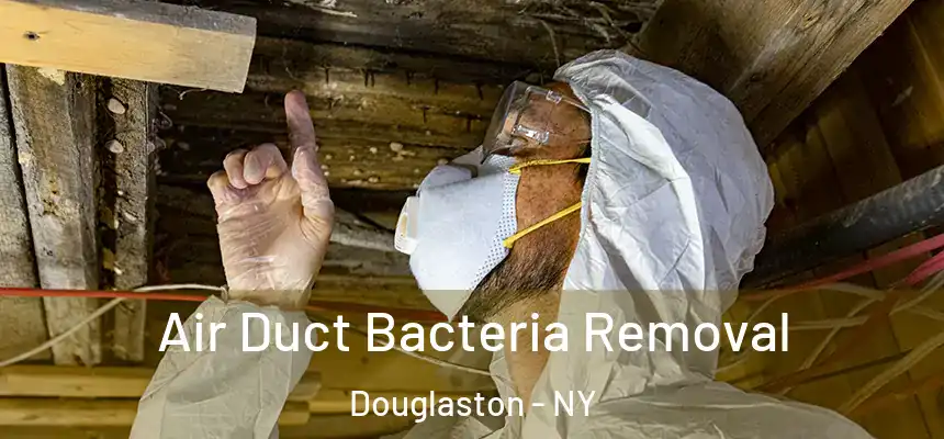  Air Duct Bacteria Removal Douglaston - NY