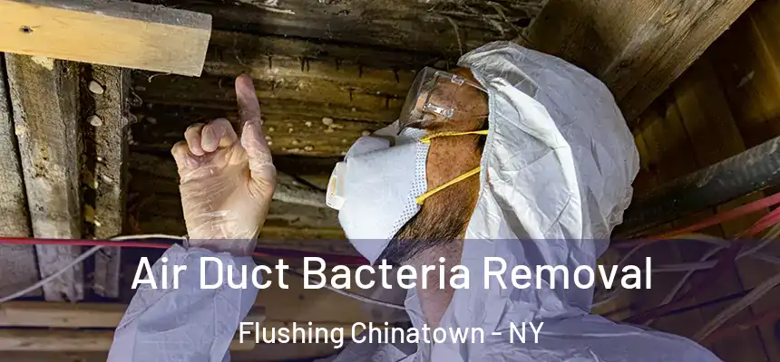 Air Duct Bacteria Removal Flushing Chinatown - NY