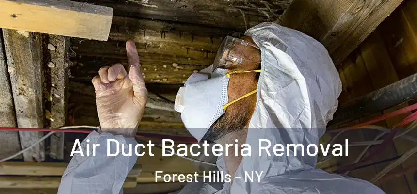 Air Duct Bacteria Removal Forest Hills - NY