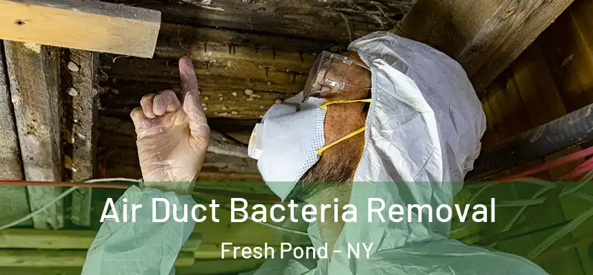 Air Duct Bacteria Removal Fresh Pond - NY