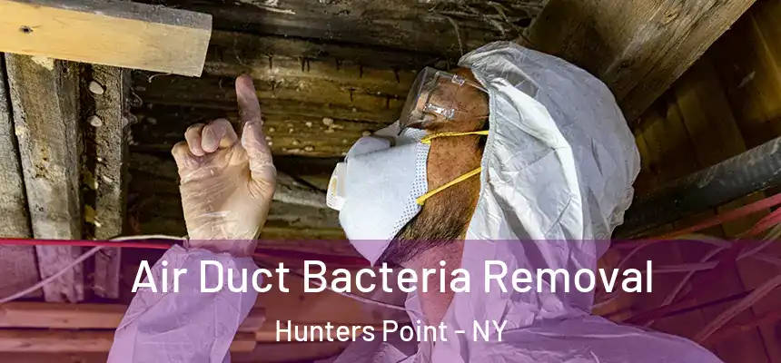  Air Duct Bacteria Removal Hunters Point - NY