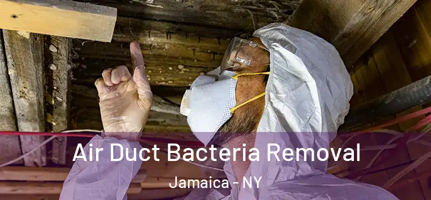  Air Duct Bacteria Removal Jamaica - NY