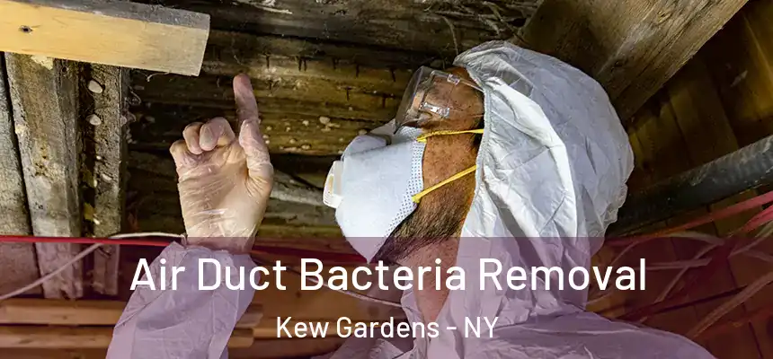  Air Duct Bacteria Removal Kew Gardens - NY