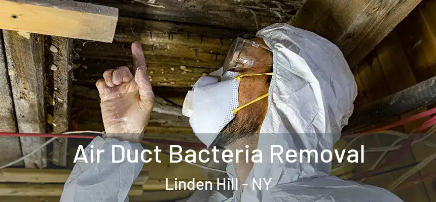  Air Duct Bacteria Removal Linden Hill - NY