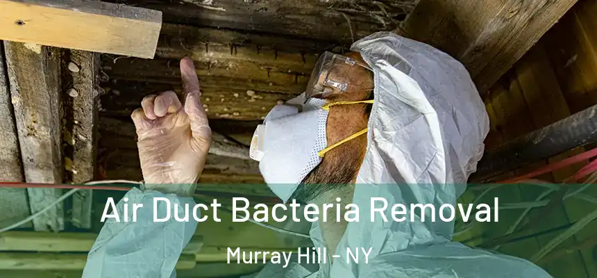 Air Duct Bacteria Removal Murray Hill - NY
