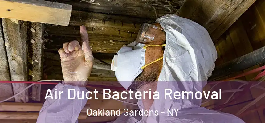  Air Duct Bacteria Removal Oakland Gardens - NY