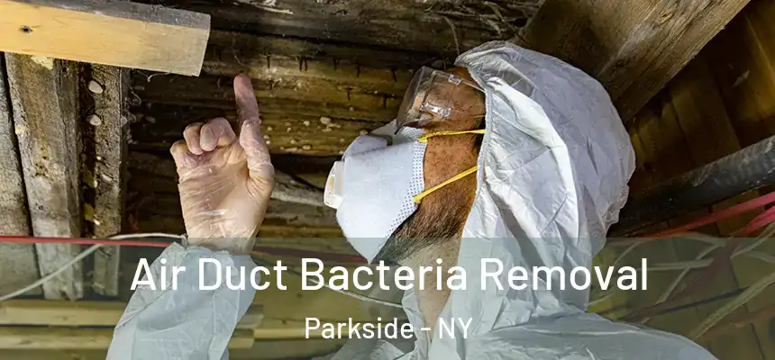  Air Duct Bacteria Removal Parkside - NY