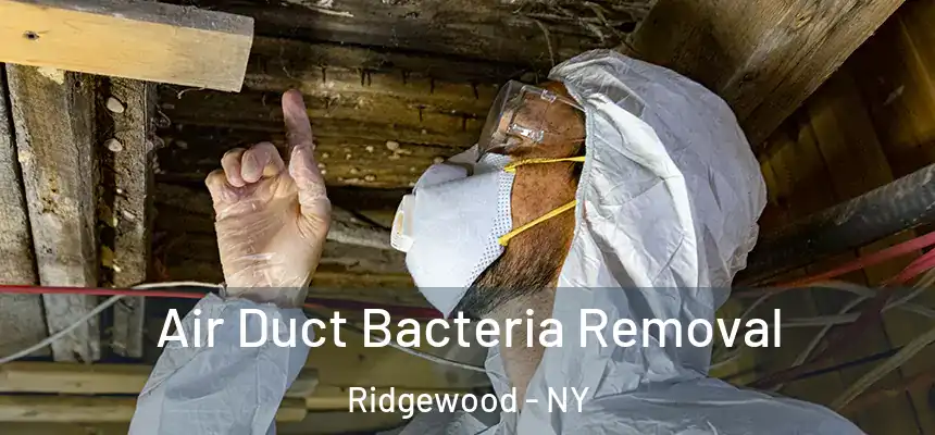  Air Duct Bacteria Removal Ridgewood - NY