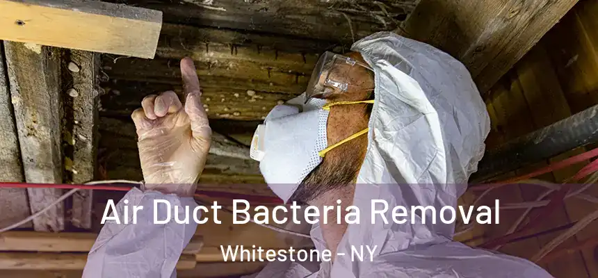  Air Duct Bacteria Removal Whitestone - NY