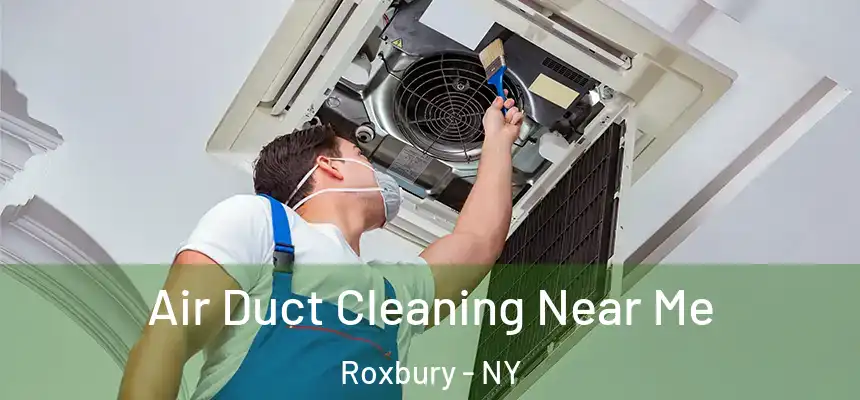  Air Duct Cleaning Near Me Roxbury - NY