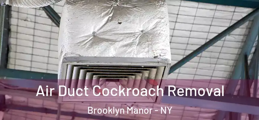 Air Duct Cockroach Removal Brooklyn Manor - NY