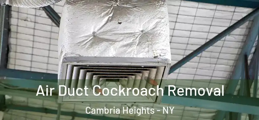 Air Duct Cockroach Removal Cambria Heights - NY