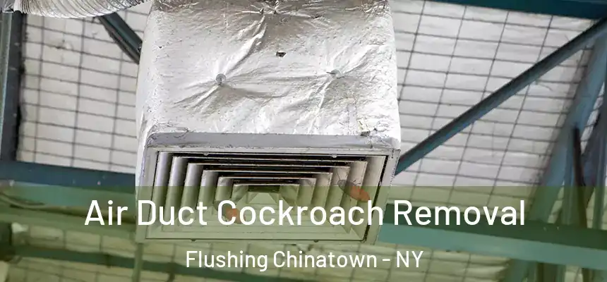 Air Duct Cockroach Removal Flushing Chinatown - NY