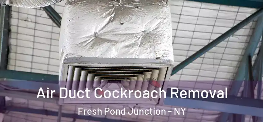 Air Duct Cockroach Removal Fresh Pond Junction - NY