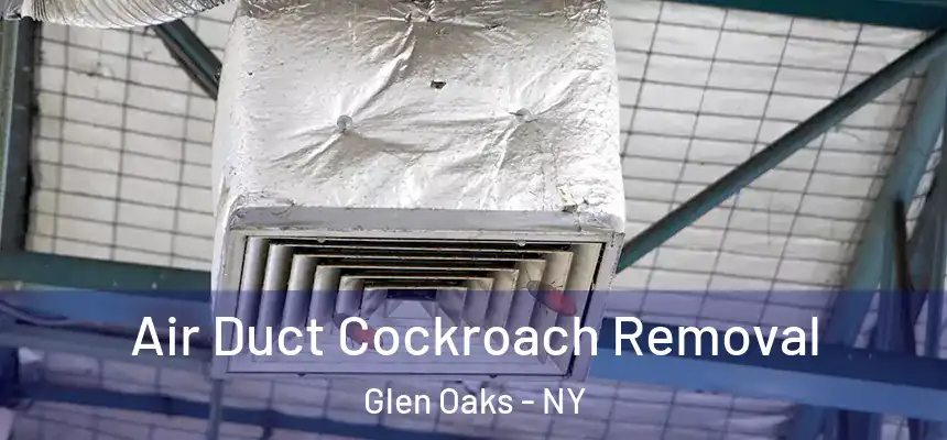 Air Duct Cockroach Removal Glen Oaks - NY
