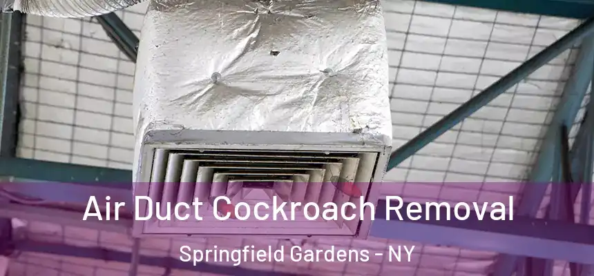  Air Duct Cockroach Removal Springfield Gardens - NY