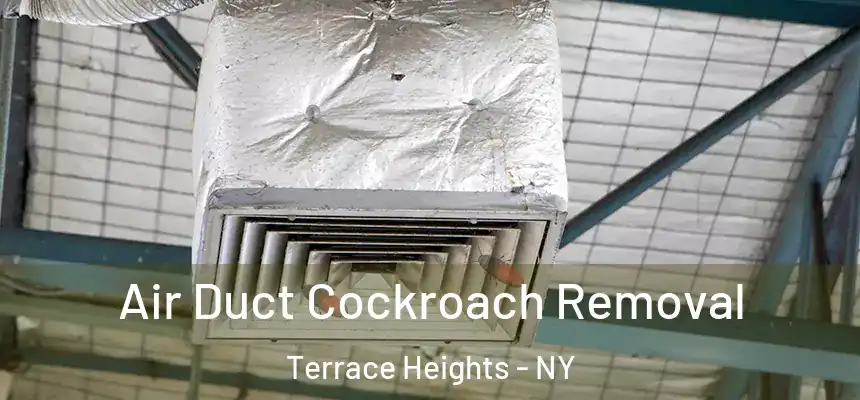  Air Duct Cockroach Removal Terrace Heights - NY