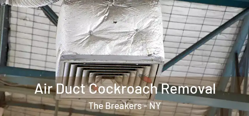  Air Duct Cockroach Removal The Breakers - NY
