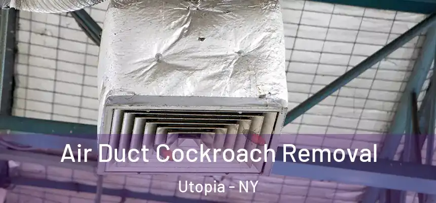  Air Duct Cockroach Removal Utopia - NY