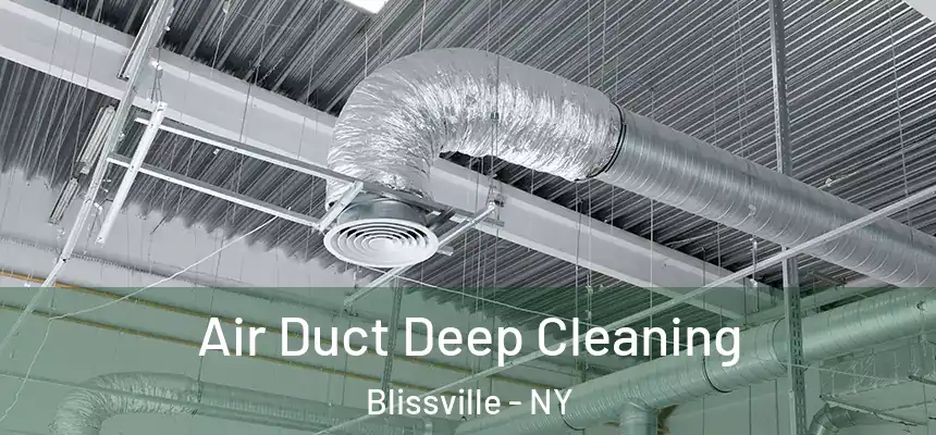  Air Duct Deep Cleaning Blissville - NY