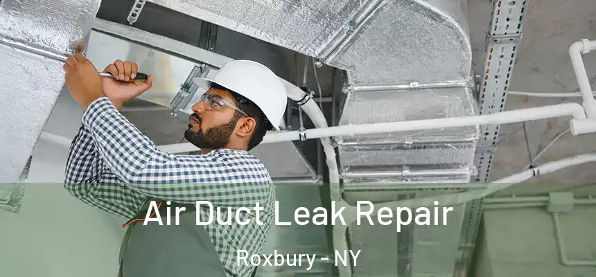  Air Duct Leak Repair Roxbury - NY