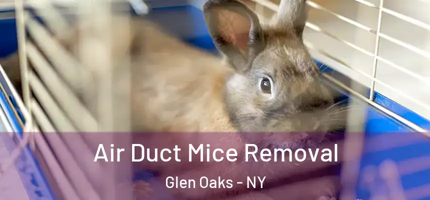  Air Duct Mice Removal Glen Oaks - NY