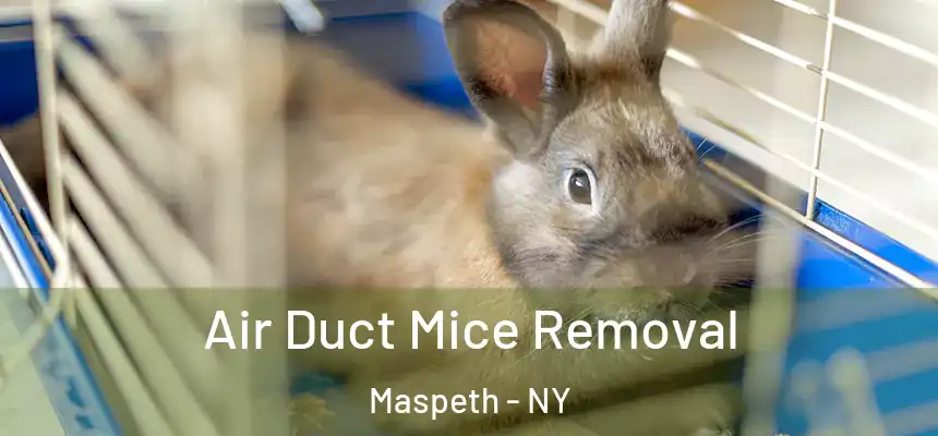  Air Duct Mice Removal Maspeth - NY