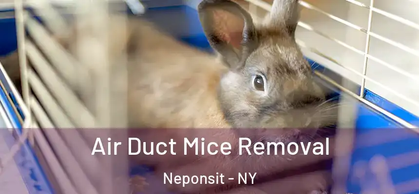 Air Duct Mice Removal Neponsit - NY