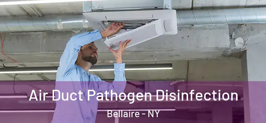 Air Duct Pathogen Disinfection Bellaire - NY