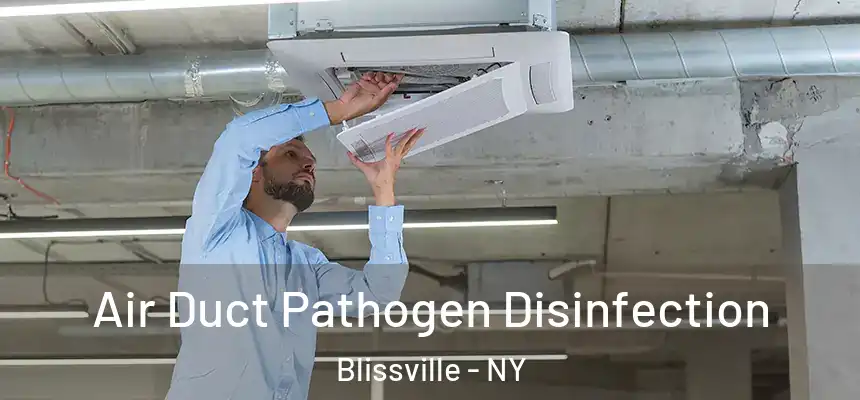  Air Duct Pathogen Disinfection Blissville - NY