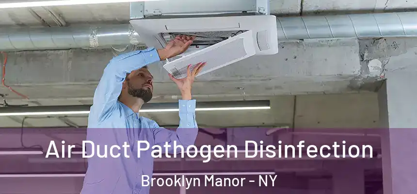 Air Duct Pathogen Disinfection Brooklyn Manor - NY