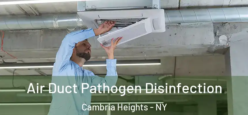  Air Duct Pathogen Disinfection Cambria Heights - NY