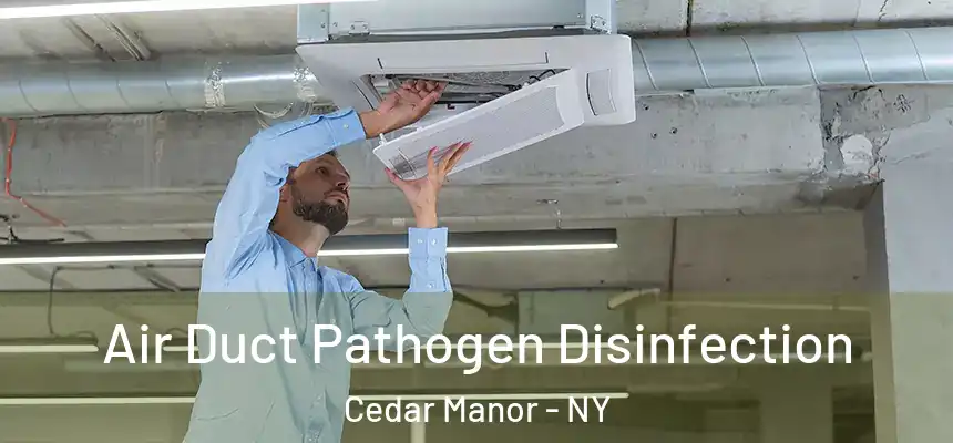  Air Duct Pathogen Disinfection Cedar Manor - NY