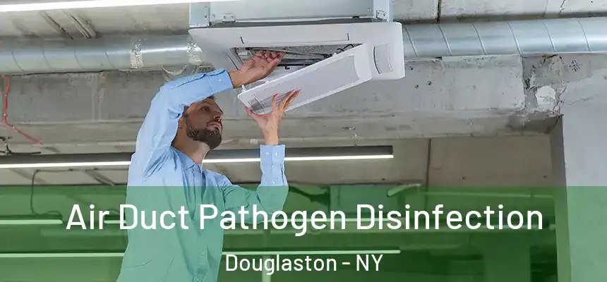 Air Duct Pathogen Disinfection Douglaston - NY