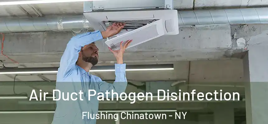  Air Duct Pathogen Disinfection Flushing Chinatown - NY