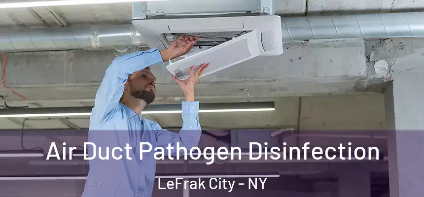 Air Duct Pathogen Disinfection LeFrak City - NY