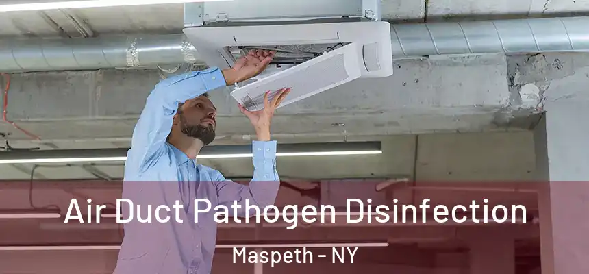  Air Duct Pathogen Disinfection Maspeth - NY