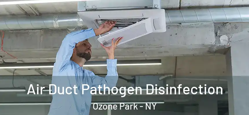  Air Duct Pathogen Disinfection Ozone Park - NY