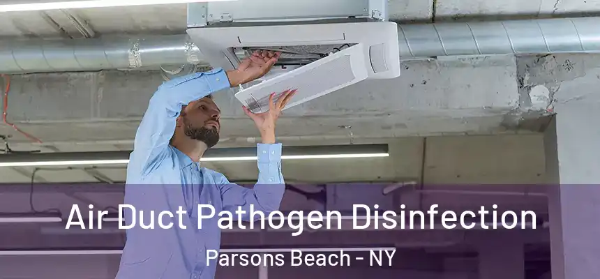 Air Duct Pathogen Disinfection Parsons Beach - NY