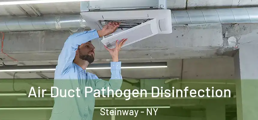  Air Duct Pathogen Disinfection Steinway - NY
