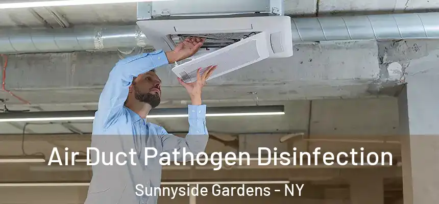  Air Duct Pathogen Disinfection Sunnyside Gardens - NY