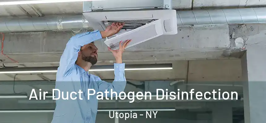  Air Duct Pathogen Disinfection Utopia - NY