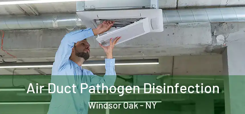  Air Duct Pathogen Disinfection Windsor Oak - NY