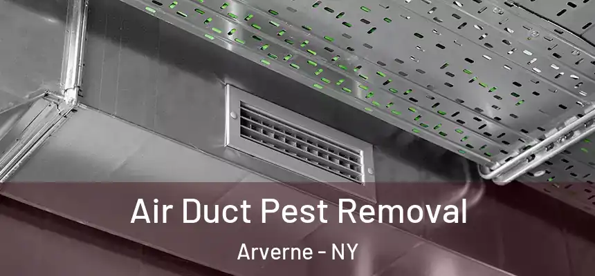 Air Duct Pest Removal Arverne - NY