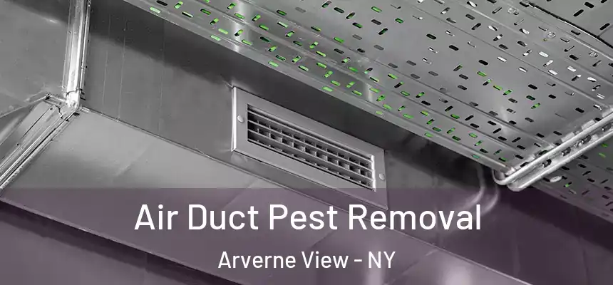  Air Duct Pest Removal Arverne View - NY